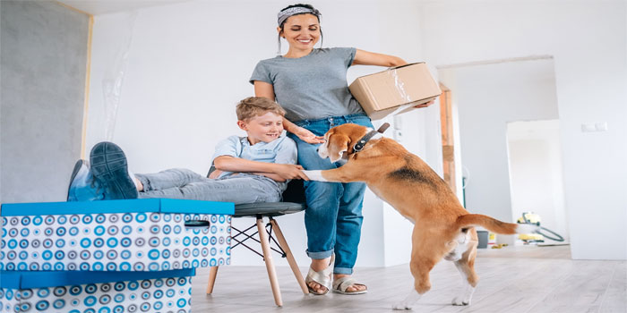 ¿Quieres saber cómo hacer mudanzas con perros? ¿En qué les afectará? ¿Y la adaptación a tu nueva casa? Evita errores en tu mudanza